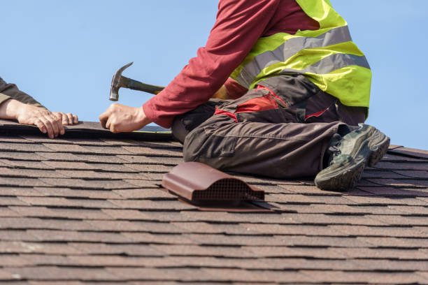 Best Metal Roofing Contractor  in Olympia, WA