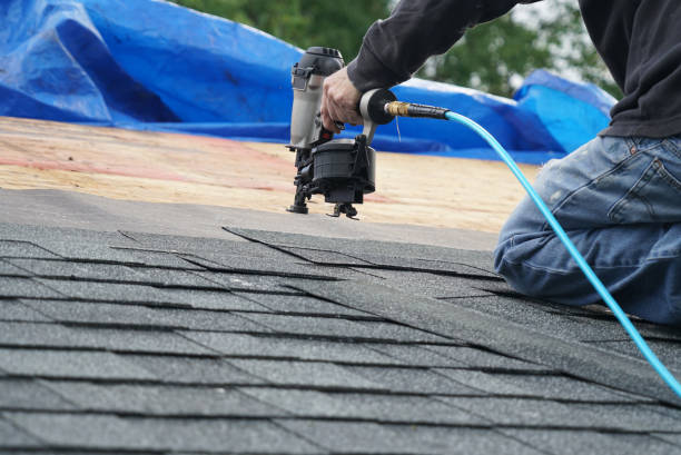 Best Metal Roofing Contractor  in Olympia, WA